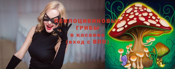 трава Киренск