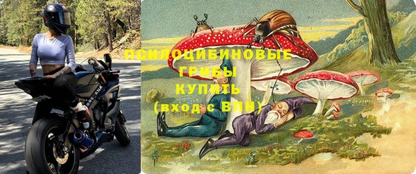 трава Киренск